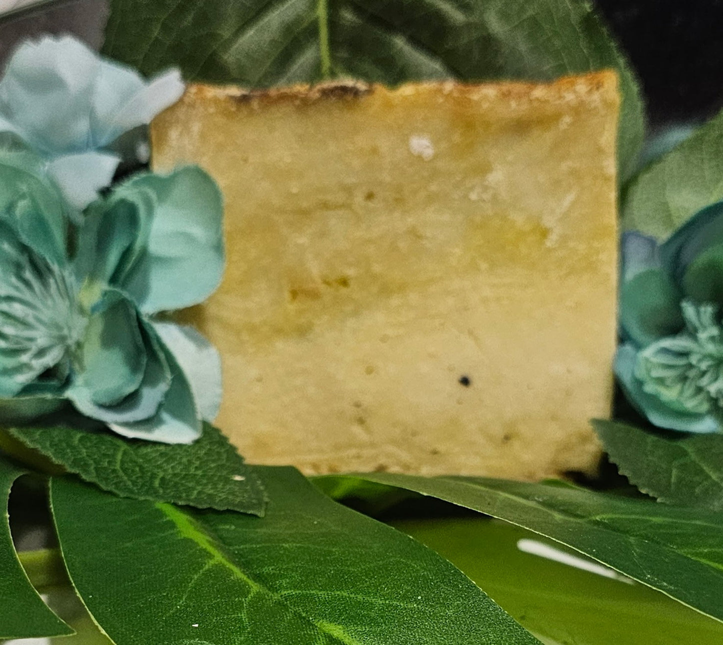 Bamboo & Cactus Face & Body Soap