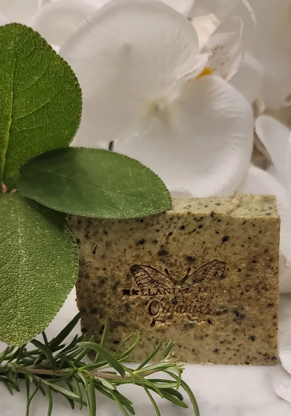 Rosemary & Sage Soap