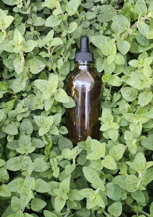 Oregano Face & Body Oil