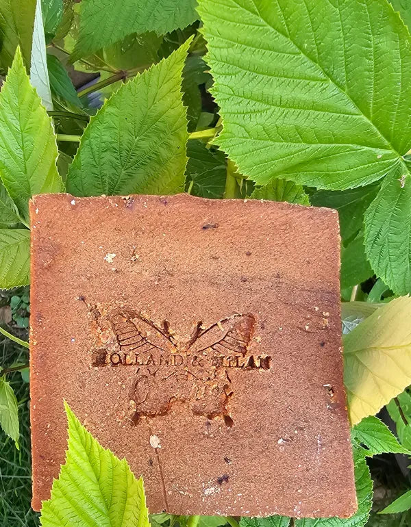 Raspberry Face & Body Soap