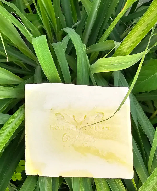 Sea Moss w/ Moringa Face & Body Soap